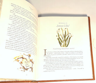 BURNETT - THE SECRET GARDEN illustrations by Robert Ingpen, artistic leather binding - 11