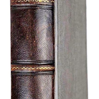 DARWIN - PODRÓŻ NATURALISTY. Wyd.1, 1887r., piękny półskórek z epoki