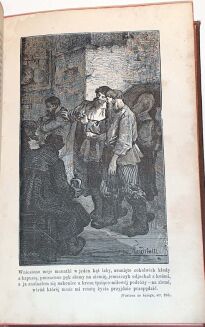 NIEMOJOWSKI – OBRAZKI SYBERYI wyd. 1875 Ilustrował E. M. Andriolli - 6