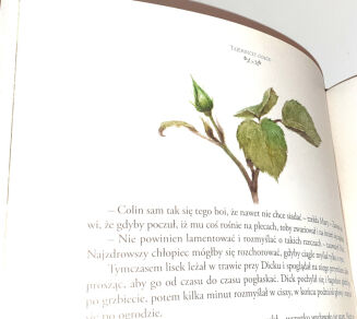 BURNETT - TAJEMNICZY OGRÓD il. Robert Ingpen, oprawa artystyczna - 6