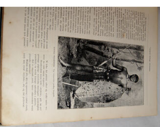 MISSYE KATOLICKIE- CZASOPISMO MIESIĘCZNE ILUSTROWANE- ROCZNIK 1908r.- DRZEWORYTY oprawa - 5