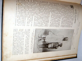 MISSYE KATOLICKIE- CZASOPISMO MIESIĘCZNE ILUSTROWANE- ROCZNIK 1908r.- DRZEWORYTY oprawa - 8