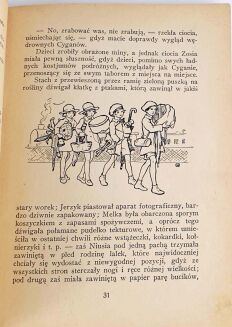 BUYNO-ARCTOWA- NA WAKACJACH W ZALESIU wyd. 1928 ryciny - 5