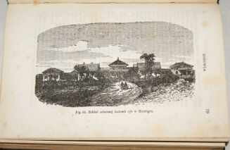 STRZELECKI; BRATYŃSKI - GOSPODARSTWO RYBNE I URZĄDZANIE STAWÓW wyd. 1877 - 4