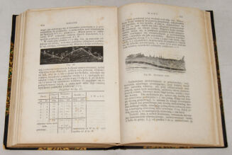 STRZELECKI; BRATYŃSKI - GOSPODARSTWO RYBNE I URZĄDZANIE STAWÓW wyd. 1877 - 11