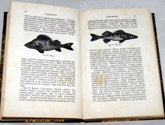 STRZELECKI; BRATYŃSKI - GOSPODARSTWO RYBNE I URZĄDZANIE STAWÓW wyd. 1877 - 3