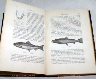 STRZELECKI; BRATYŃSKI - GOSPODARSTWO RYBNE I URZĄDZANIE STAWÓW wyd. 1877 - 5