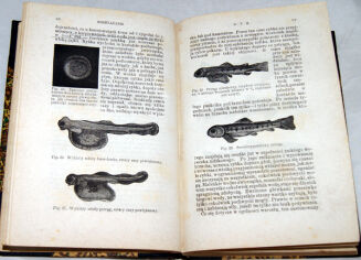 STRZELECKI; BRATYŃSKI - GOSPODARSTWO RYBNE I URZĄDZANIE STAWÓW wyd. 1877 - 7