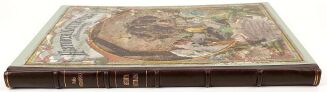 WERMIŃSKI - HISTORYA NATURALNA W OBRAZACH Botanika i mineralogia 269 kolorowanych obrazków 1893r. FOLIO - 2
