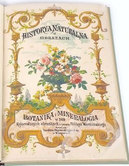 WERMIŃSKI - HISTORYA NATURALNA W OBRAZACH Botanika i mineralogia 269 kolorowanych obrazków 1893r. FOLIO - 4