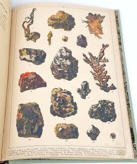 WERMIŃSKI - HISTORYA NATURALNA W OBRAZACH Botanika i mineralogia 269 kolorowanych obrazków 1893r. FOLIO - 12