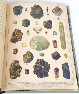 WERMIŃSKI - HISTORYA NATURALNA W OBRAZACH Botanika i mineralogia 269 kolorowanych obrazków 1893r. FOLIO - 13