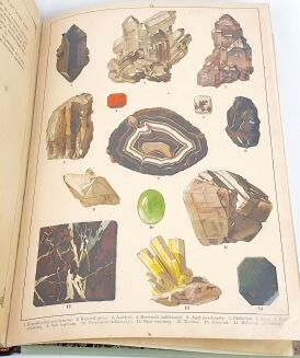 WERMIŃSKI - HISTORYA NATURALNA W OBRAZACH Botanika i mineralogia 269 kolorowanych obrazków 1893r. FOLIO - 15