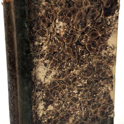 BYRON - PARYZYNA. KALMAR I ORLA. DWA POEMATA. Pierwsze polskie wydanie. Wilno 1834