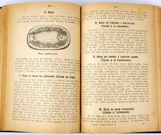 GRUSZECKA - ILUSTROWANY KUCHARZ KRAKOWSKI DLA OSZCZĘDNYCH GOSPODYŃ 1898 - 4