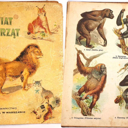 SCHLEYER- ATLAS ZWIERZĄT 30 tablic barwnych 1923