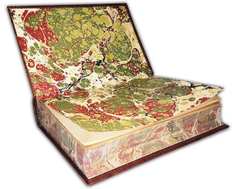 DARWIN- ZMIENNOSC ZWIERZAT I ROSLIN / THE VARIATION UNDER ANIMALS AND PLANTS UNDER DOMESTICATION ed. 1888 - 2