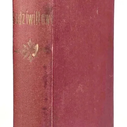 BARTOSZEWICZ - RADZIWIŁŁOWIE. Początek rodu i jego dzieje. 1928