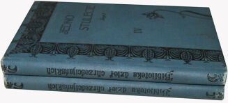 JEDNO STULECIE. Ruch wszechświatowy w ciągu XIX-go wieku 1-2 - 2