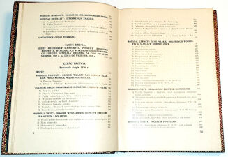 LUDYGA-LASKOWSKI - MATERJAŁY DO HISTORJI POWSTAŃ ŚLĄSKICH t. I 1919-1920 oprawa luksusowa skóra z epoki, futerał  - 9