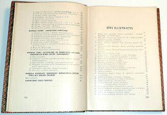 LUDYGA-LASKOWSKI - MATERJAŁY DO HISTORJI POWSTAŃ ŚLĄSKICH t. I 1919-1920 oprawa luksusowa skóra z epoki, futerał  - 10
