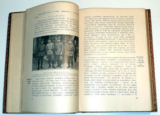 LUDYGA-LASKOWSKI - MATERJAŁY DO HISTORJI POWSTAŃ ŚLĄSKICH t. I 1919-1920 oprawa luksusowa skóra z epoki, futerał  - 14