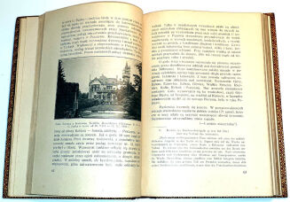 LUDYGA-LASKOWSKI - MATERJAŁY DO HISTORJI POWSTAŃ ŚLĄSKICH t. I 1919-1920 oprawa luksusowa skóra z epoki, futerał  - 15