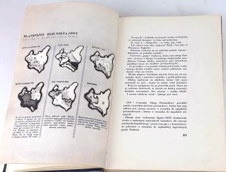 WAŃKOWICZ- SZTAFETA Książka o polskim pochodzie gospodarczym ORYGINAŁ 1939r. ilustracje OPRAWA - 5