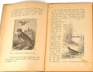 BUCKLEY - ŻYCIE W LESIE W POLU chromolitografie - 4