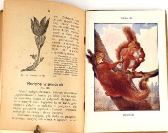 BUCKLEY - ŻYCIE W LESIE W POLU chromolitografie - 8