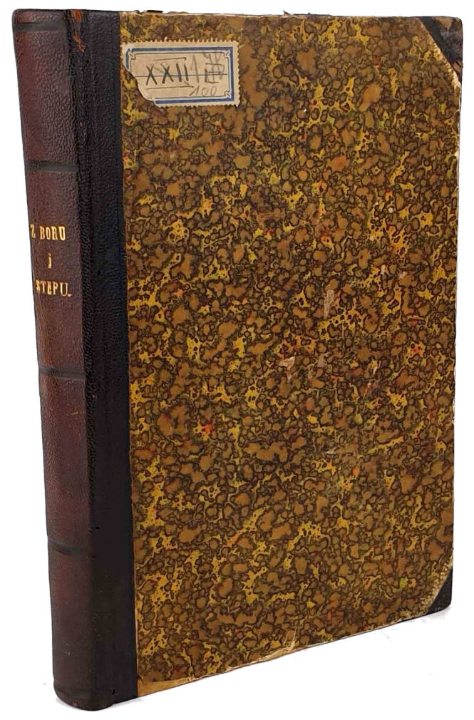 STECKI - Z BORU I STEPU. OBRAZY I PAMIĄTKI 1888