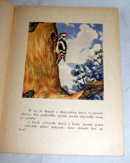 BIANKI- DZIUPLA wyd. 1954 ilustr. RYŁOW - 3