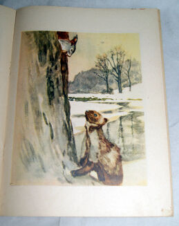 BIANKI- DZIUPLA wyd. 1954 ilustr. RYŁOW - 4