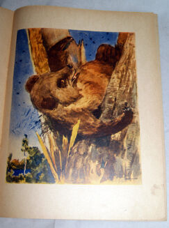 BIANKI- DZIUPLA wyd. 1954 ilustr. RYŁOW - 5