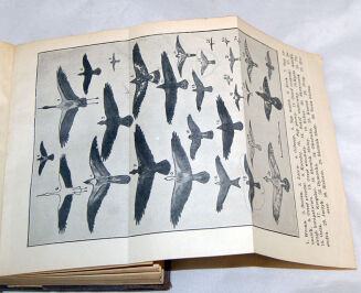 KALENDARZ MYŚLIWSKI 1938 - 5