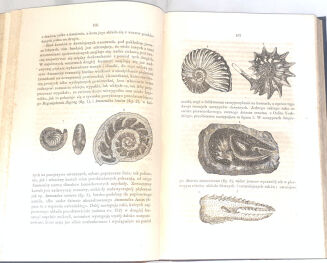 DZIEKOŃSKI- DZIWY ŚWIATA PIERWOTNEGO czyli KOLEBKA WSZECHŚWIATA wyd. 1857r. 237 drzeworytów - 4