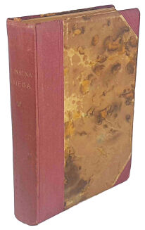 BRUNATNA KSIĘGA. PODPALENIE REICHSTAGU I TERROR HITLEROWSKI - 2