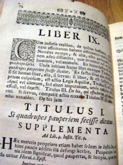 PEREGRINI- DISSERTATIO ACADEMICA... INSTITUTIONUM TITULOS 1755 [PODRĘCZNIK PRAWA] - 8