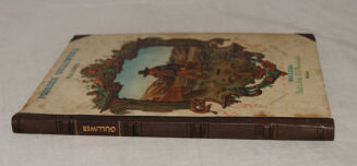 SWIFT - PODRÓŻE GULIWERA. GULIWER DLA DZIECI czyli najciekawsze przygody tego wędrowca  1855r.  chromolitografia Fajans - 2