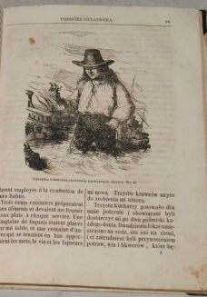 SWIFT - PODRÓŻE GULIWERA. GULIWER DLA DZIECI czyli najciekawsze przygody tego wędrowca  1855r.  chromolitografia Fajans - 10