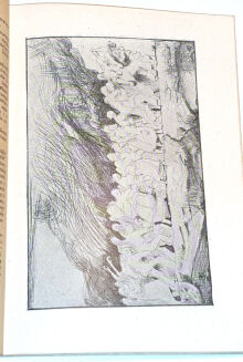 KAMIŃSKI - KAMIENIE NA SZANIEC wyd. 1944 - 4