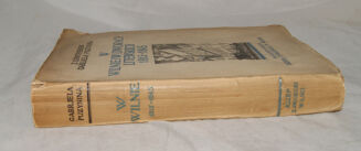 Gabryela z Guntherów Puzynina- W WILNIE I W DWORACH LITEWSKICH ilustracje - 2