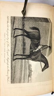 [KALENDARZ MYŚLIWSKI I SPORTOWY] THE SPORTING MAGAZINE OR MONTHLY CALENDAR Londyn 1792-1821, 13 woluminów - 11