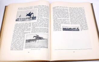 DZIESIĘCIOLECIE ODRODZENIA POLSKIEJ SIŁY ZBROJNEJ wyd. 1928r. - 14