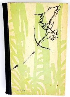 STEVENSON - CZARNA STRZAŁA - 4