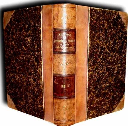 ROZPRAWY I SPRAWOZDANIA Z POSIEDZEŃ WYDZIAŁU FILOLOGICZNEGO. TOM XV wyd. 1891r. PIEKNY PÓŁSKÓREK