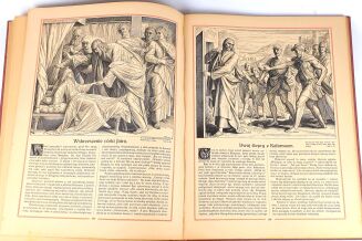 PISMO ŚWIĘTE W OBRAZACH  Oryginał OPRAWA RYCINY - 14