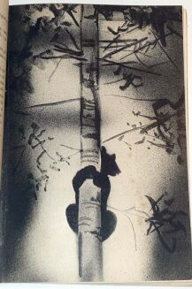 BURZYŃSKI – Z KARPAT (Wspomnienia myśliwskie). Warszawa 1933 - 7