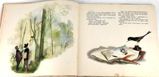 BRZECHWA- Pan DO RE MI i jego siedem córek 1955r. wyd. I ilustr. SZANCER - 4