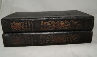 WUJEK- BIBLIA  to jest księgi STAREGO TESTAMENTU wyd. 1860r. setki rycin - 2